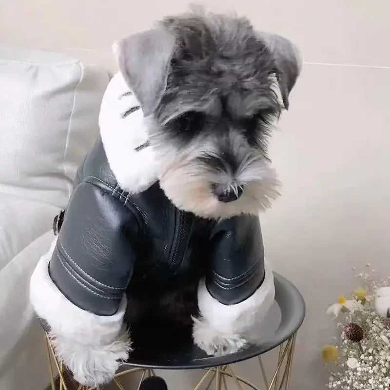 Winter Clothing Thickened Trendy Brand Fur Integrated Motorcycle Jacket Small Dog Teddy Bomy Cat
