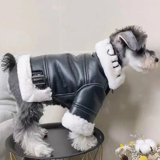 Winter Clothing Thickened Trendy Brand Fur Integrated Motorcycle Jacket Small Dog Teddy Bomy Cat